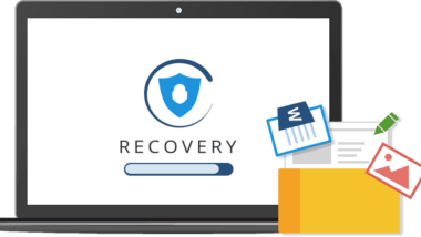 Data Recovery in Nelson